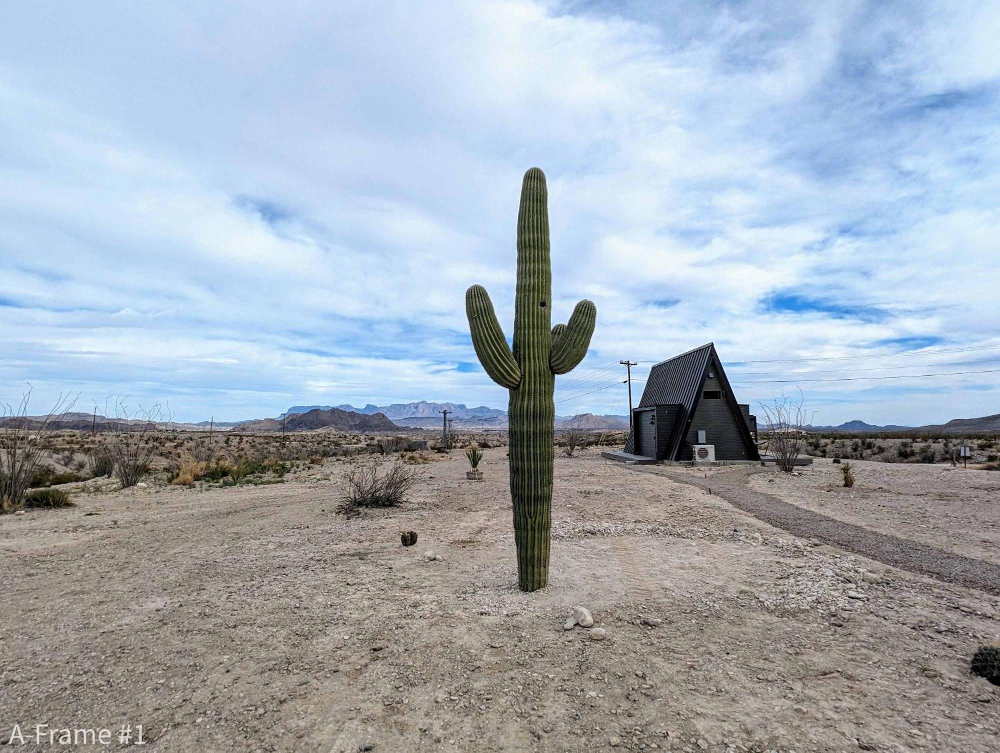 Stardust Big Bend Luxury A-Frame#4 Great Views Villa เทอร์ลิงกวา ภายนอก รูปภาพ